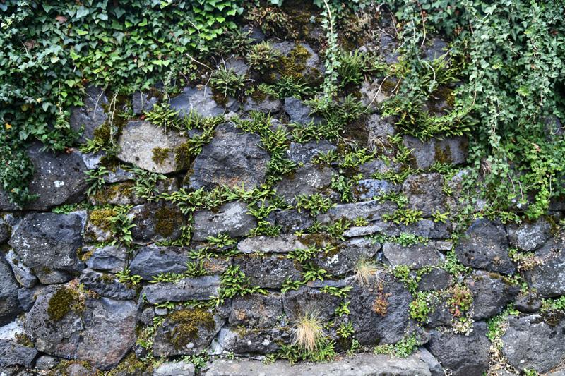 min 2023 08 13 Salers 141